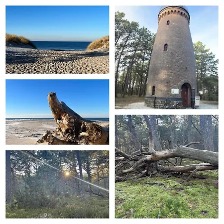 Swojskie Chatki - Marynarska * Smołdziński Las