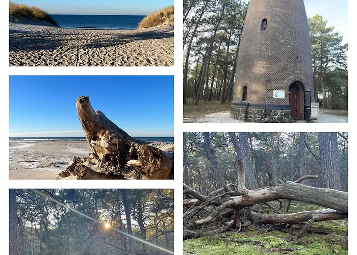 Swojskie Chatki - Marynarska * Smoldzinski Las